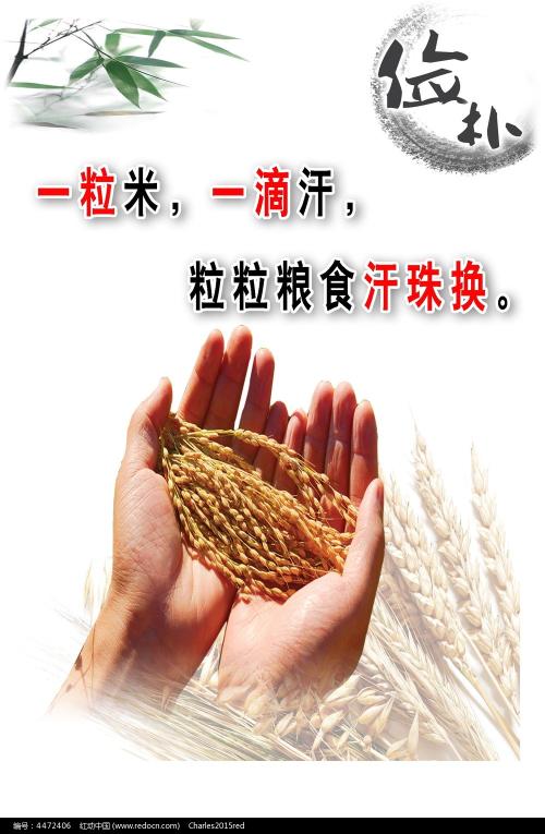 高仿基督兄弟大学文凭毕业证